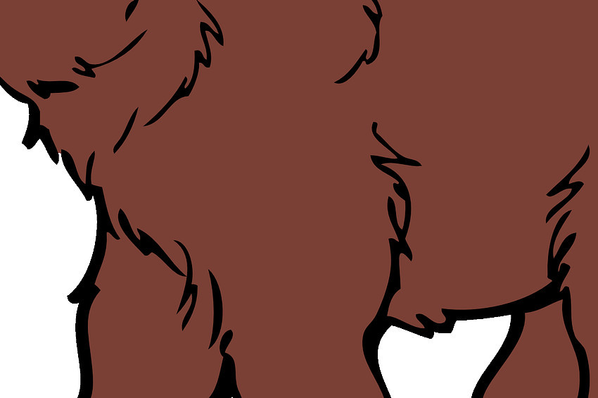 Kiraz sever ayılara çözüm bulamadılar