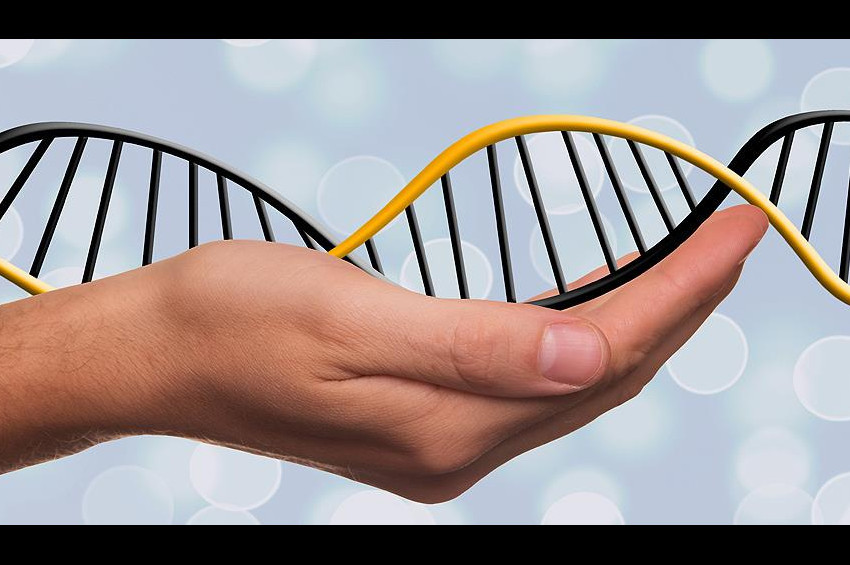 DNA robotları için yeni konrol sistem geliştirildi