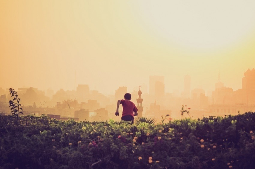 Hindistanda gizemli toplu ölüm vakası