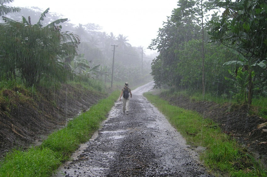 Hava kirliliği zeka gelişimini bozuyor