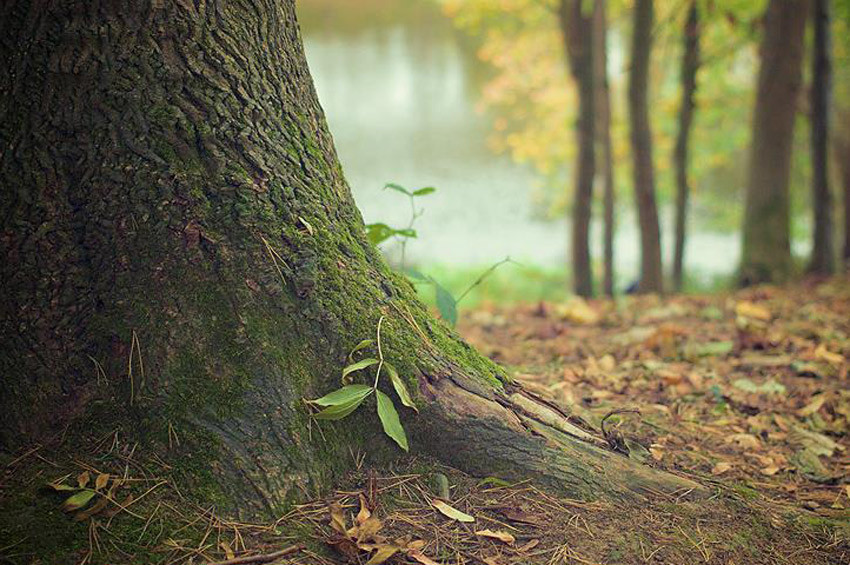Doğal kaynakların artan hızla yok oluyor