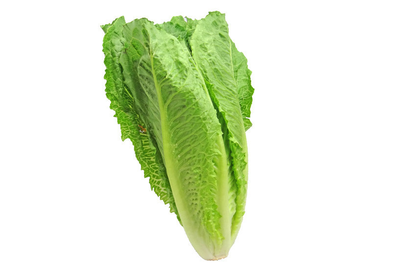 Susuzluğu gideren 10 besin