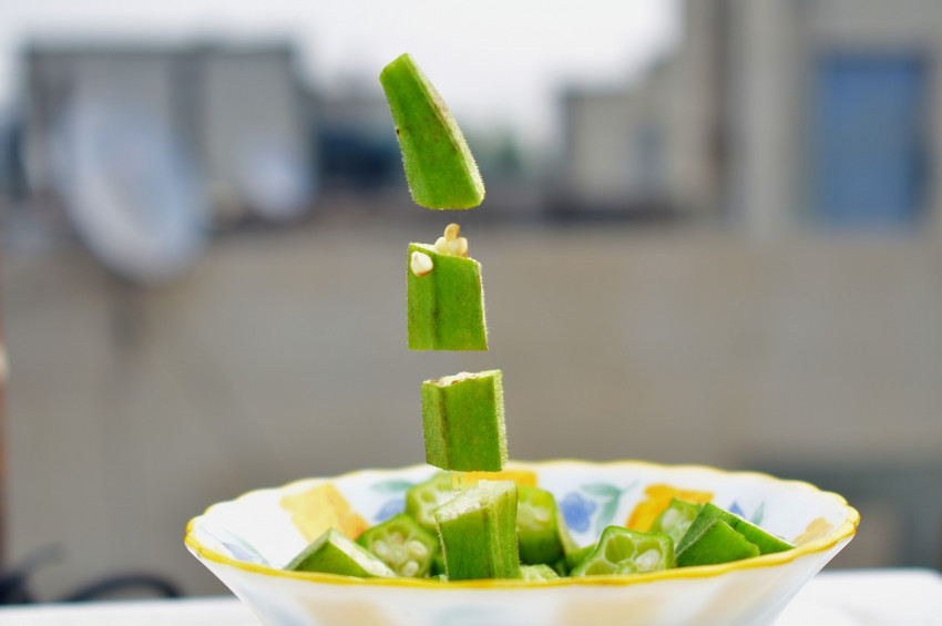 Bamya hasadı üreticiyi zorluyor