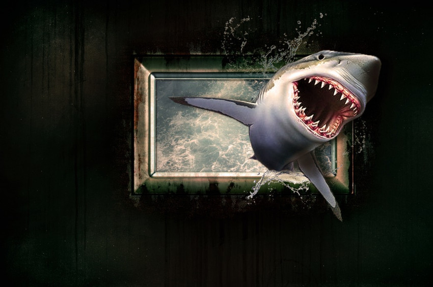 Köpek balığını pusetle kaçırmaya çalıştılar