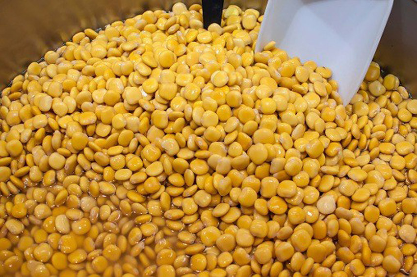 Termiye nedir? Termiyenin faydaları nelerdir?