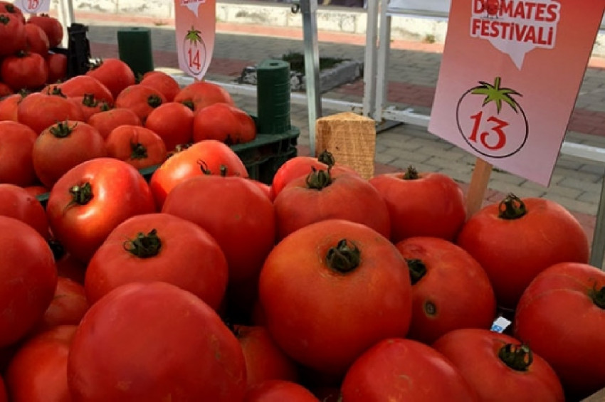 Silivri Değirmenköy Domates Festivali yapıldı