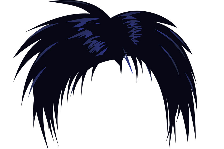 Hindistanda 20 bin dolarlık takma saç çalındı