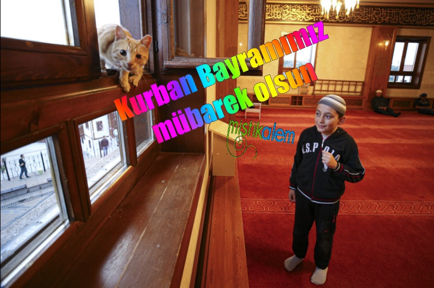 Kurban Bayramımız kutlu olsun