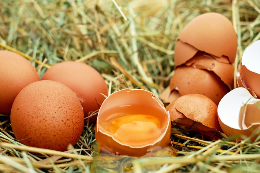 Yumurtanın kabuğunu da yiyebilirsiniz