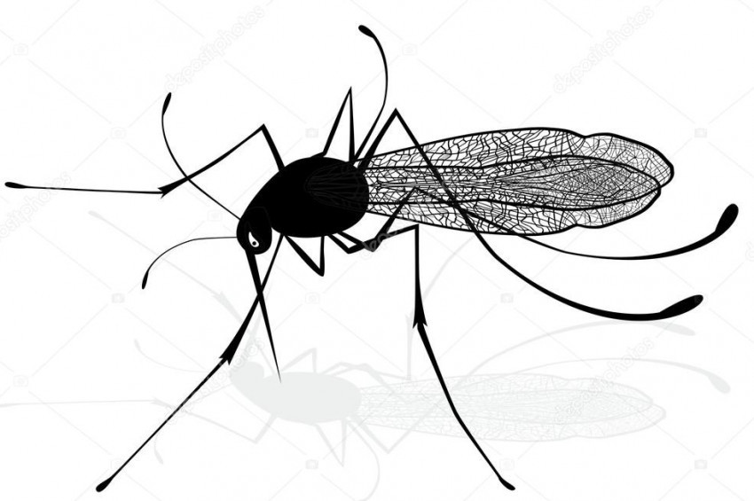 Sıcak hava zararlı böceklerin iştahını arttırıyor