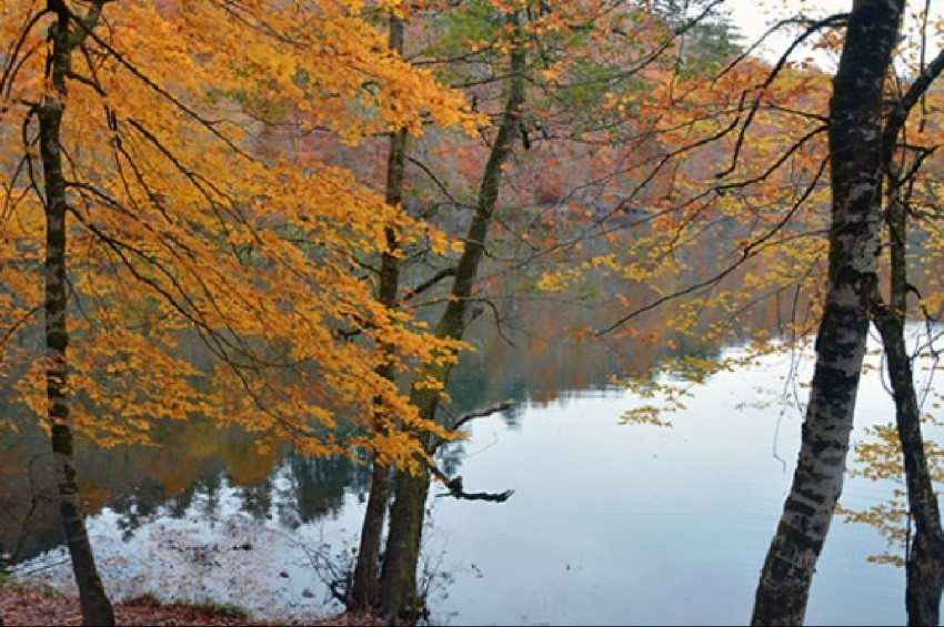 Sonbahar Ekinoksu: 23 Eylül