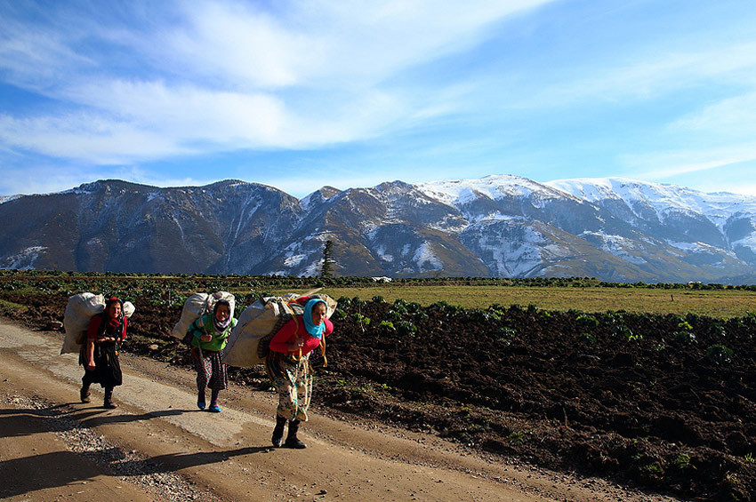Karadeniz bölgesine kutup soğukları geliyor