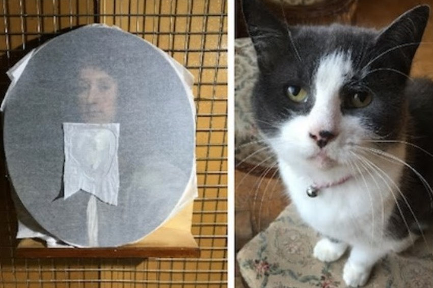 Restoratörün kedisi sanat eserini tırmıkladı