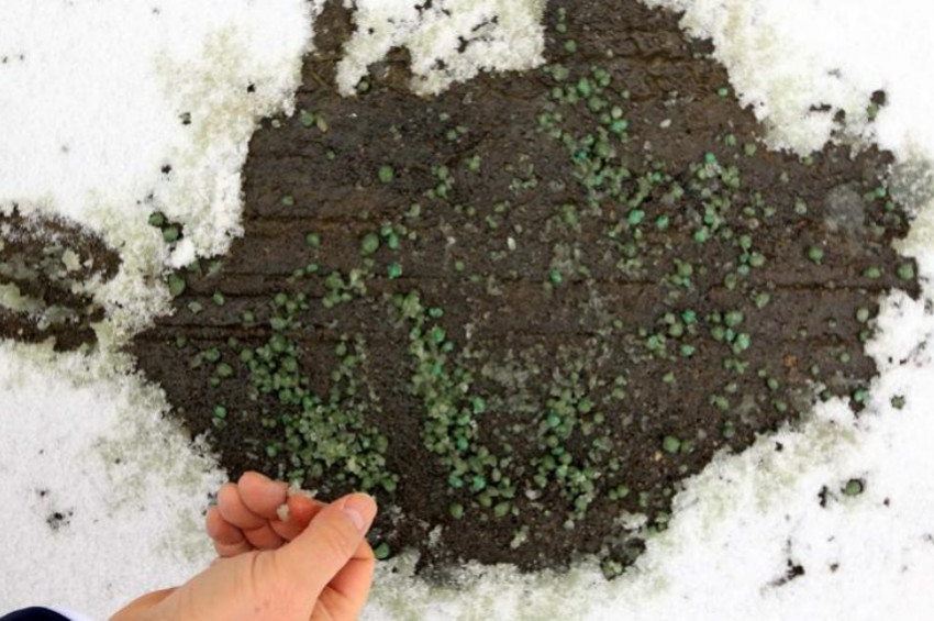 Karla mücadeleyi kolaylaştıracak formül: Buz Yak