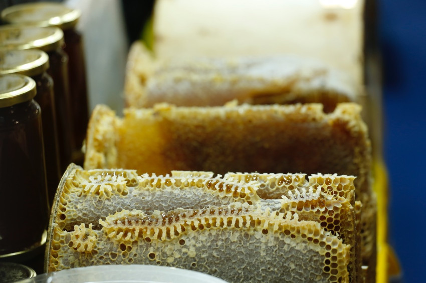 Organik Ürünler Fuarını 17 bin kişi gezdi