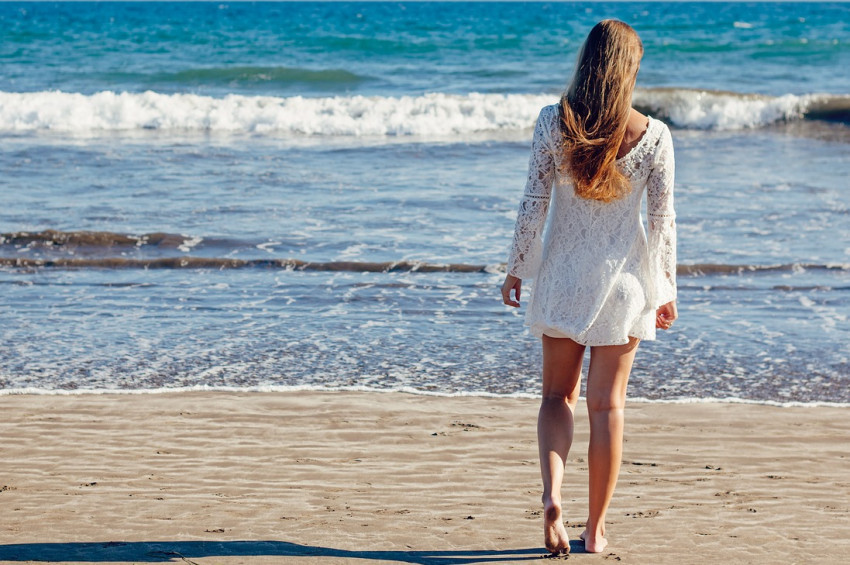 Varis hakkında bilinmesi gerekenler