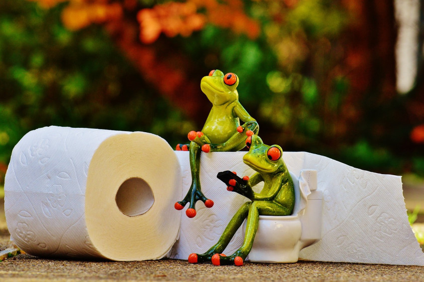 Çevre aşkına  tuvalette kağıt kullanmayın önerisi