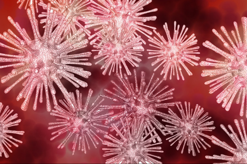 Fedakar bakteriler Darvinizmi haksız çıkardı