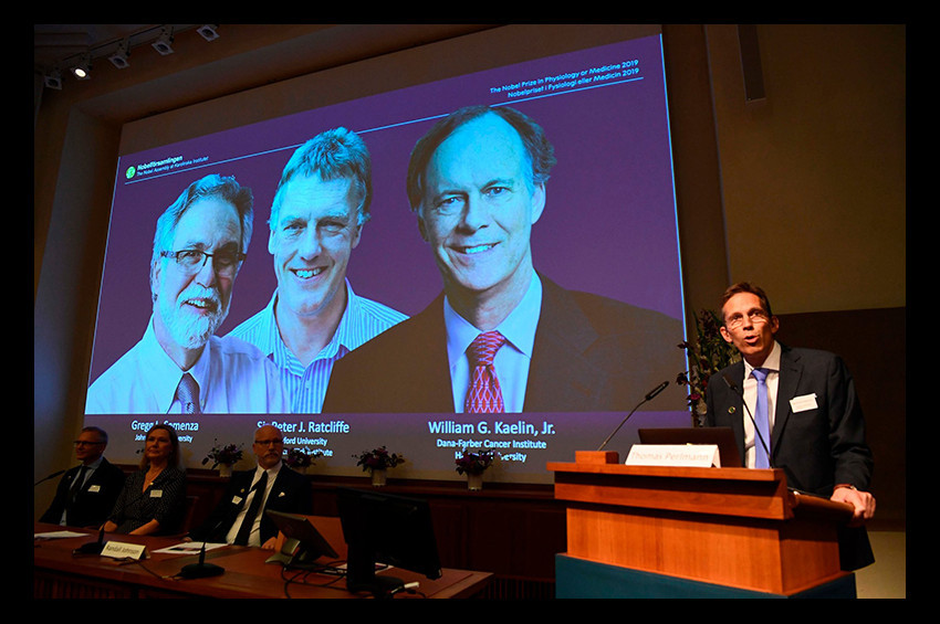 2019 Nobel Tıp Ödülünü kazanan isimler açıklandı