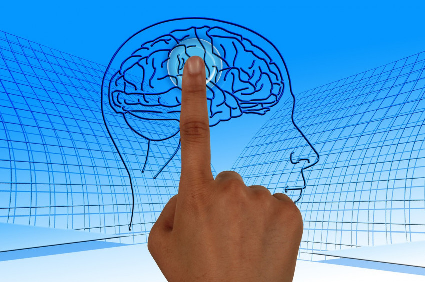 Beyinden bilgi silinebilir mi?