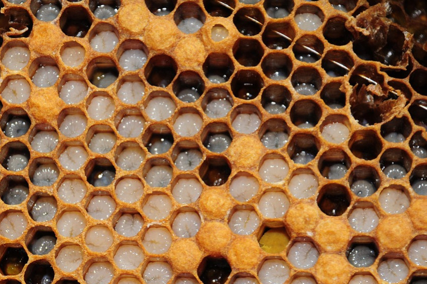 Yeni yılın ilk kahvaltısında balı ihmal etmeyin