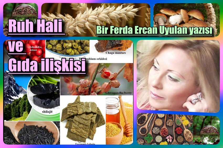 Doğal Yaşam gücünün kaynakları, ruh hali ve gıda ilişkisi
