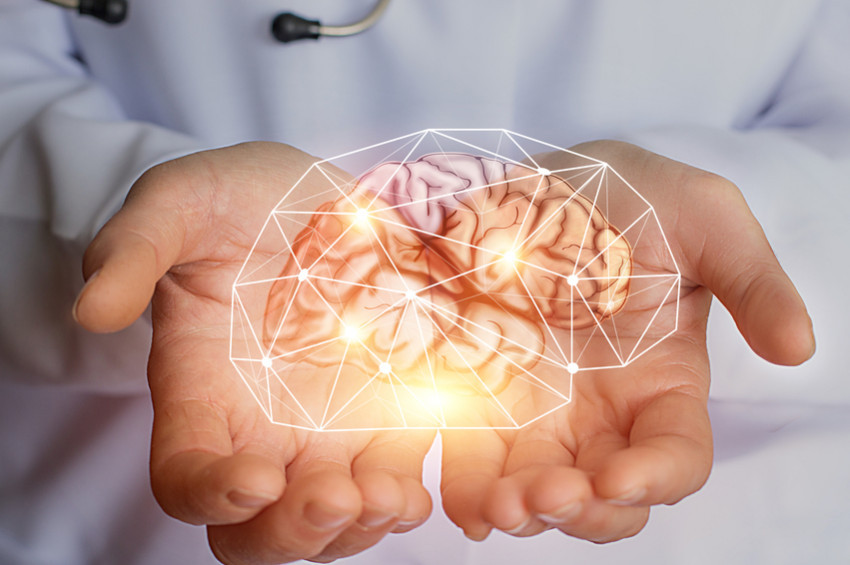 İnsan beyninin 9 gizemi