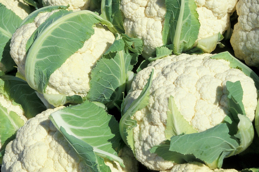 Mide kanserinden korunmak için yenilmesi gerekli besinler