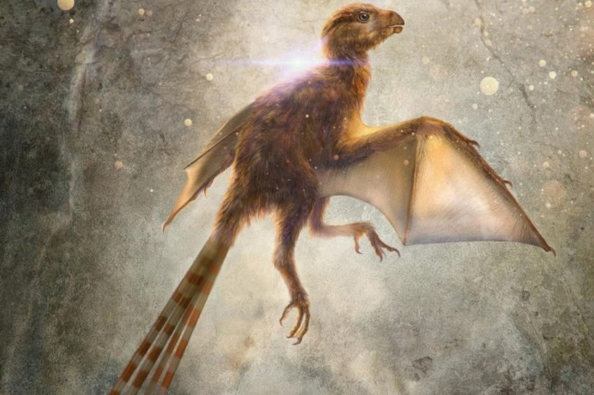 63 milyon yıllık yarasa kanatlı dinozor keşfedildi