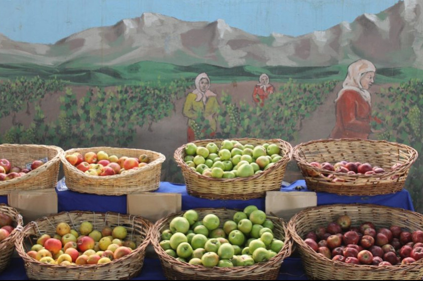 Buğday Derneği pestisitlere savaş açtı