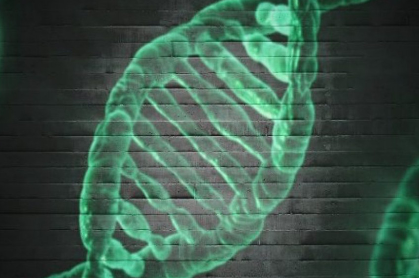 Ve insanoğlu ilk yapay canlıyı yarattı