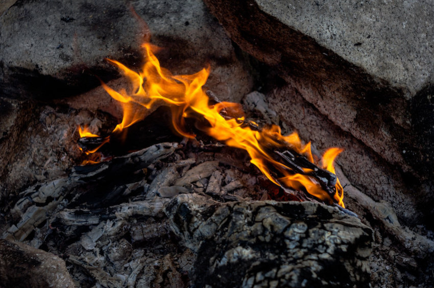 120 Bin yıl önce kızartılmış bitki kökleri bulundu