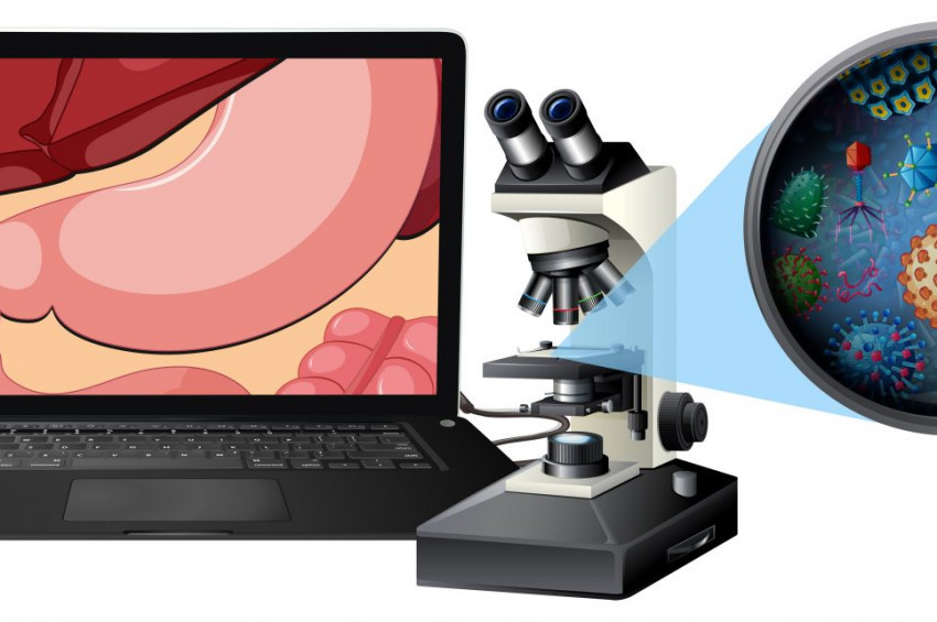 Bağırsaklar sandığınızdan çok daha önemli