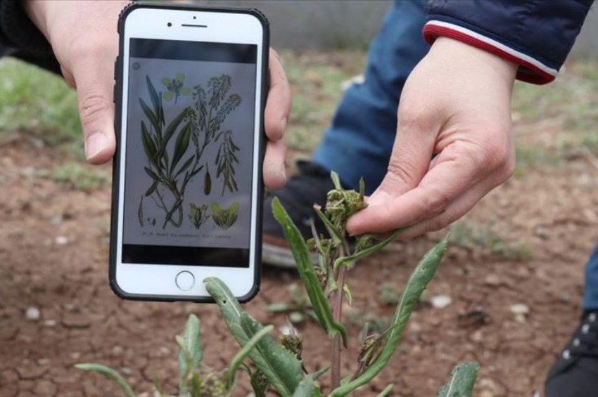 Ekolojik zenginliği koruma çabaları sürüyor