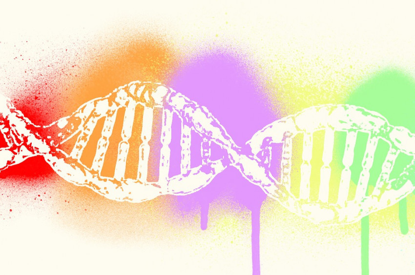 Kadınlarda kısırlığa yol açan gen bulundu