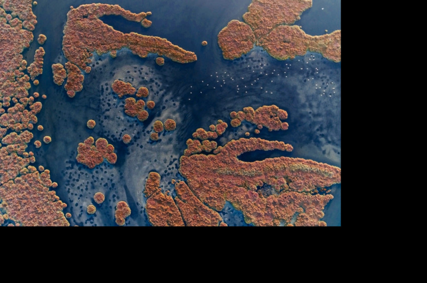 Mahkeme Gediz Deltası’nın sulak alan bütünlüğü bozulamaz dedi