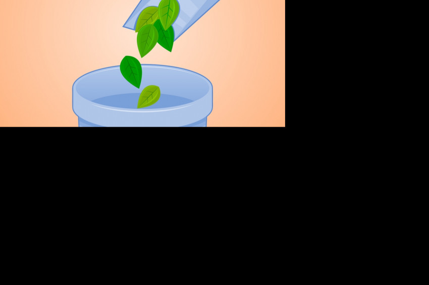#Trashtag Challange hareketi Koroplast ile Türkiyede