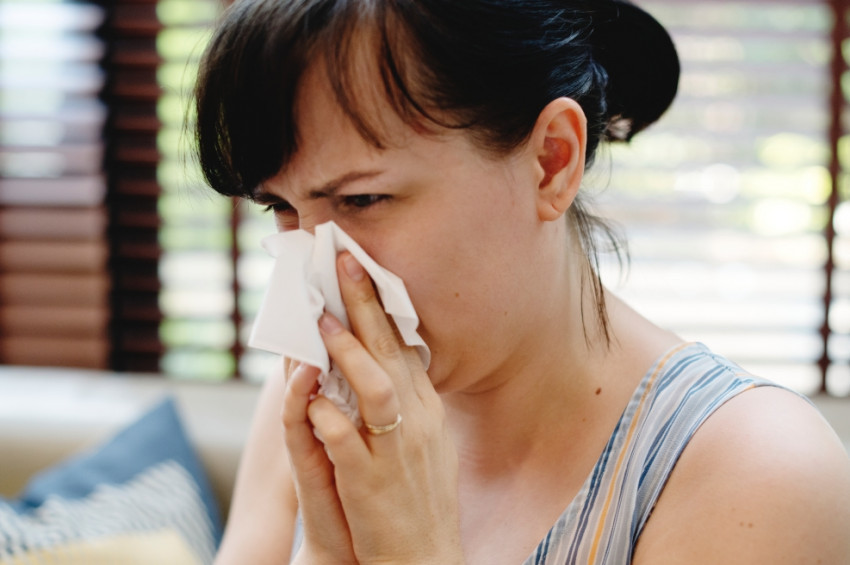 Yaz Nezlesi nedir, ne değildir?