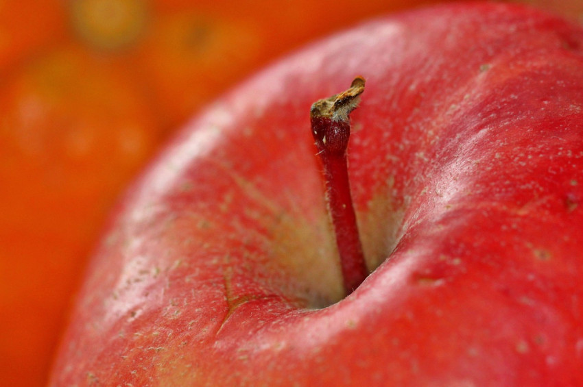 Meme kanseri ile savaşan besinler