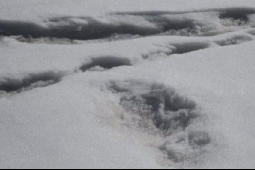 Kar Adam  Yetiye ait gizemli ayak izleri tartışılıyor