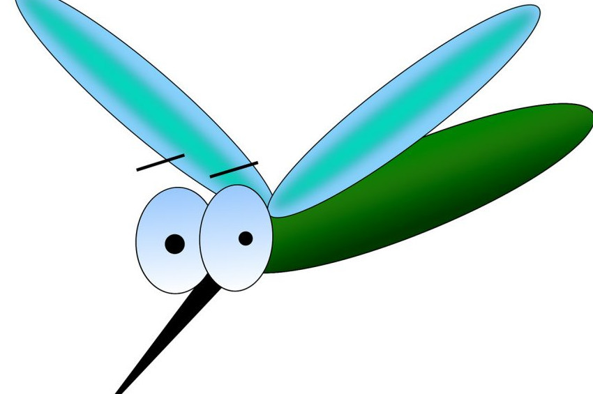 Sivrisinekler neden sizi daha çok ısırıyor?