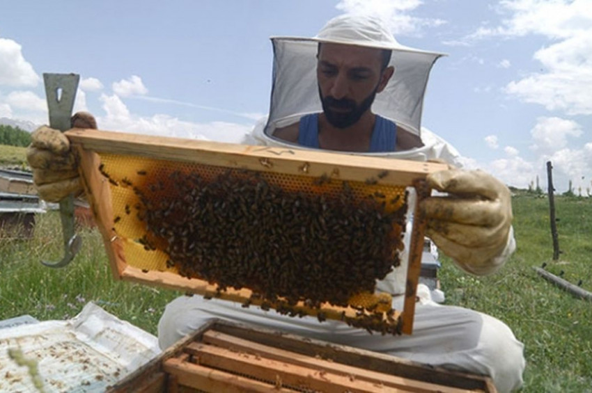 Ovacıkın arıcıları kavurucu sıcaklarda üretim yapıyor
