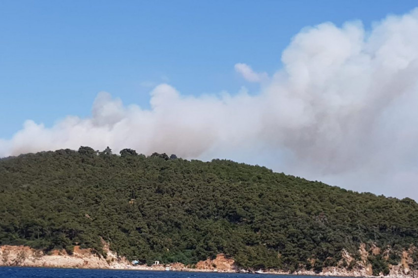 Heybeliadada orman yangını