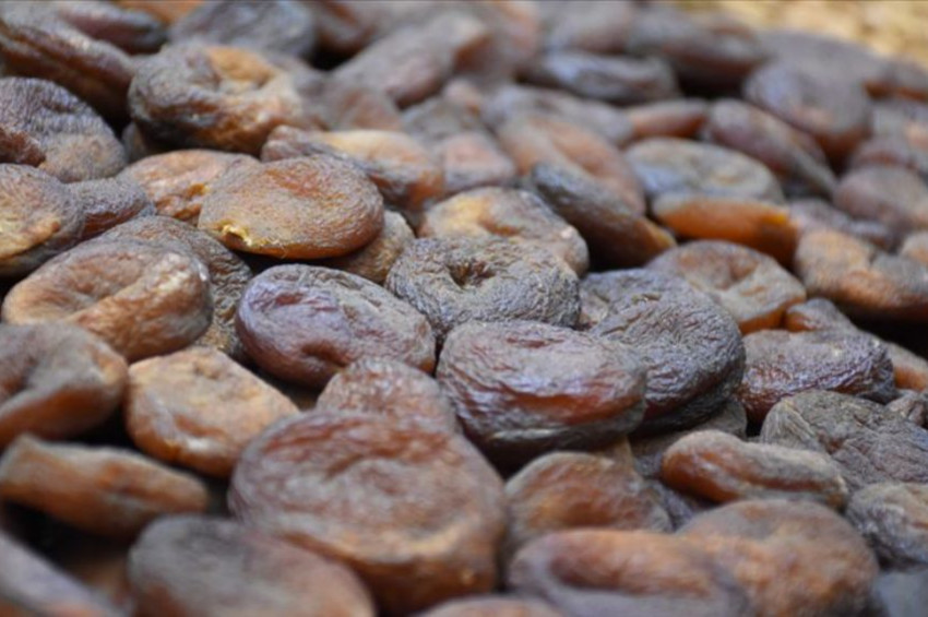 Gün kurusu kayısı kırmızı kan hücrelerini artırdı