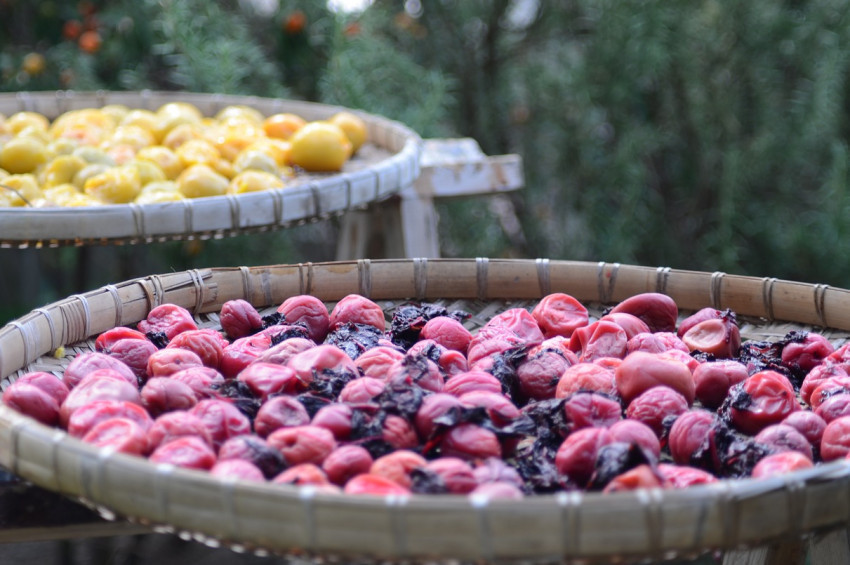 Kabızlığa karşı her gün bir avuç kuru erik