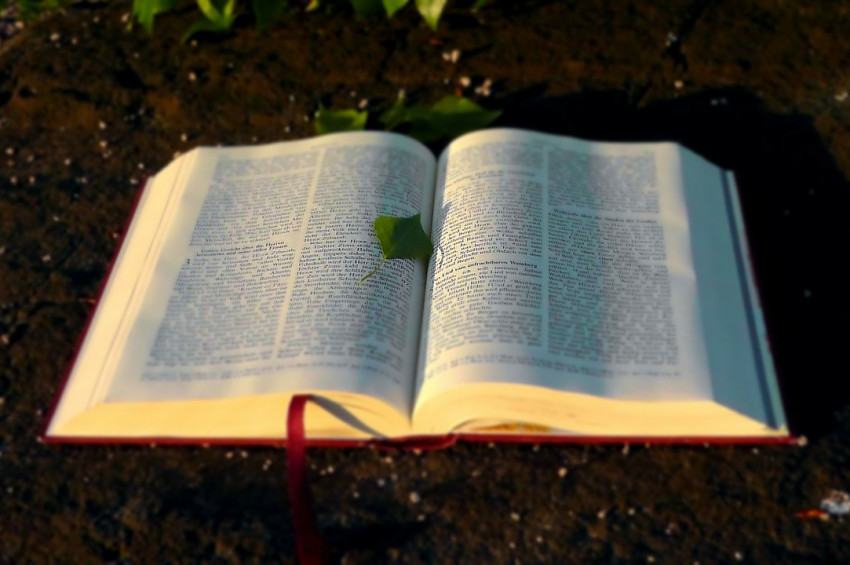 Mülk Allahındır diyerek vergiyi reddettiler, 1,4 milyon dolar ceza aldılar