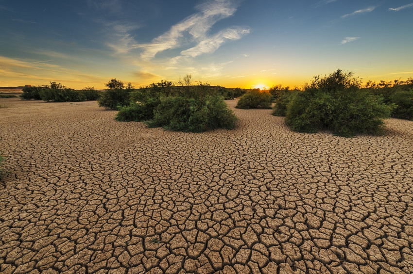 Sıcaklıklar yüzünden dünya savaşı çıkabilir