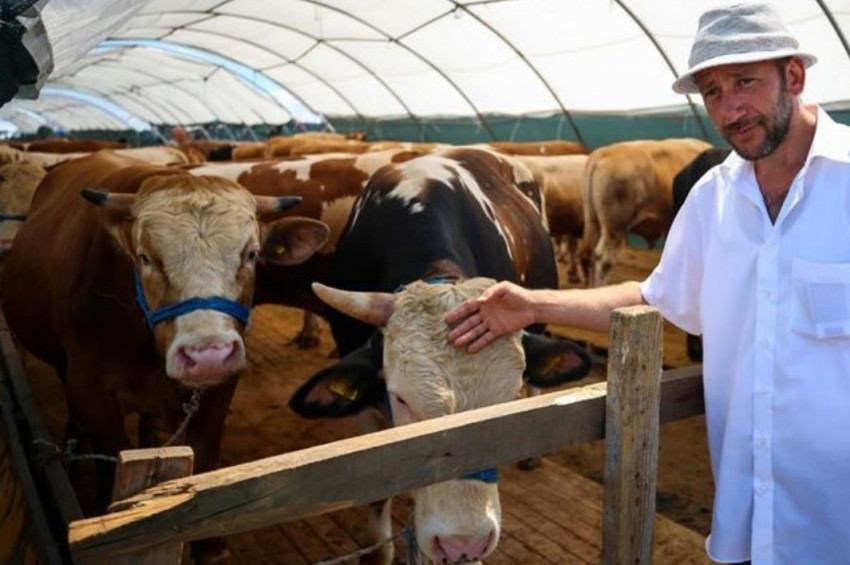 Hayvan pazarlarında hareketlik yaşanıyor