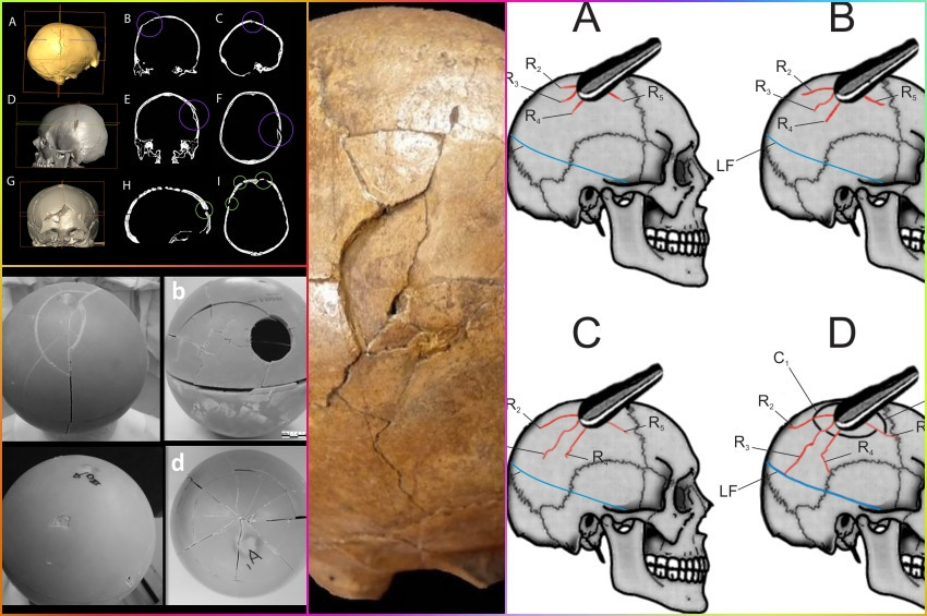33 bin yıllık bir cinayetin anatomisi