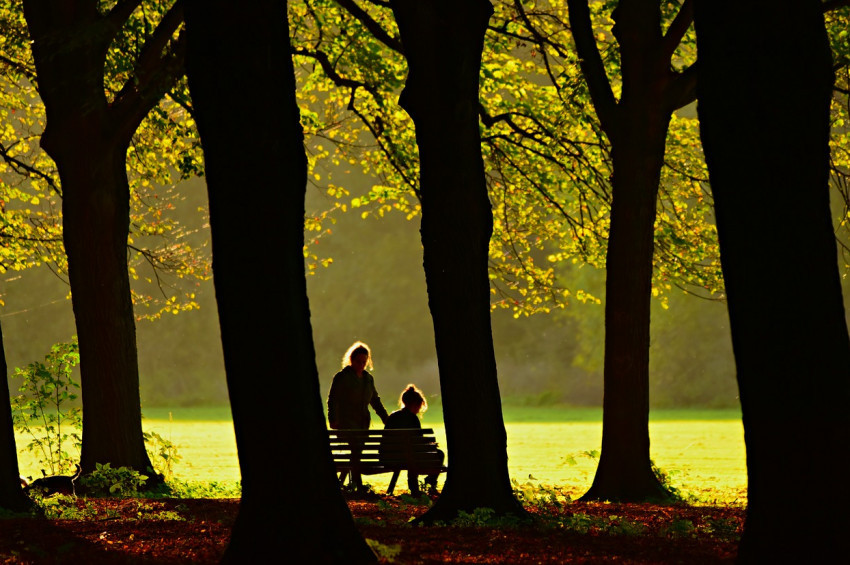 Orman atmosferine girmek